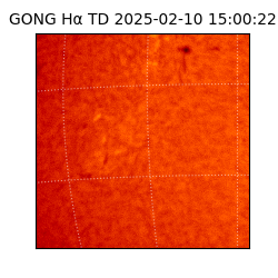 gong - 2025-02-10T15:00:22