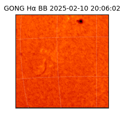 gong - 2025-02-10T20:06:02