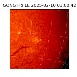 gong - 2025-02-10T01:00:42