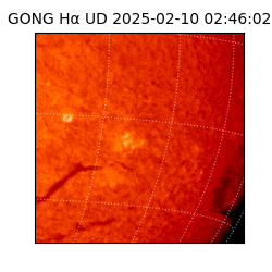 gong - 2025-02-10T02:46:02