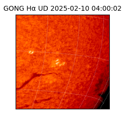 gong - 2025-02-10T04:00:02