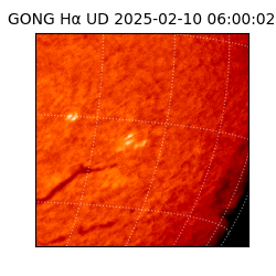 gong - 2025-02-10T06:00:02