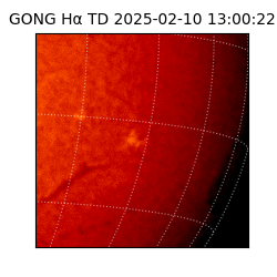 gong - 2025-02-10T13:00:22