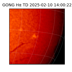gong - 2025-02-10T14:00:22