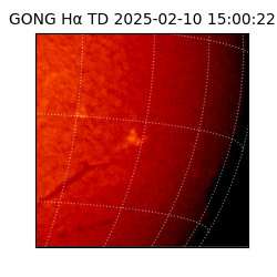gong - 2025-02-10T15:00:22