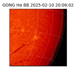 gong - 2025-02-10T20:06:02