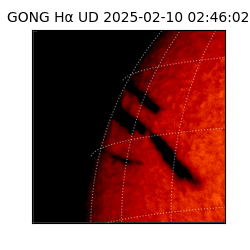 gong - 2025-02-10T02:46:02