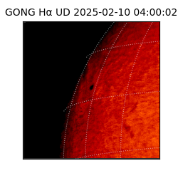 gong - 2025-02-10T04:00:02
