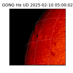 gong - 2025-02-10T05:00:02