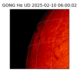 gong - 2025-02-10T06:00:02