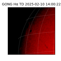 gong - 2025-02-10T14:00:22
