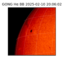 gong - 2025-02-10T20:06:02