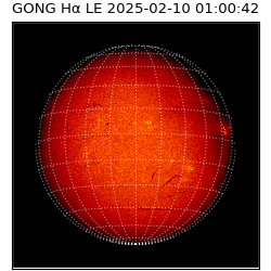 gong - 2025-02-10T01:00:42
