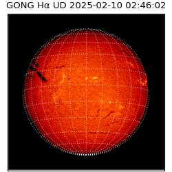 gong - 2025-02-10T02:46:02