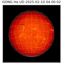 gong - 2025-02-10T04:00:02