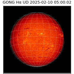 gong - 2025-02-10T05:00:02