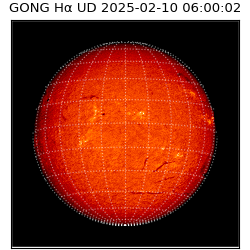 gong - 2025-02-10T06:00:02