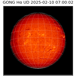 gong - 2025-02-10T07:00:02