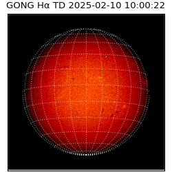 gong - 2025-02-10T10:00:22
