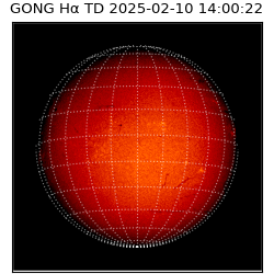 gong - 2025-02-10T14:00:22