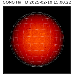 gong - 2025-02-10T15:00:22
