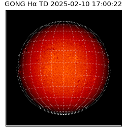 gong - 2025-02-10T17:00:22