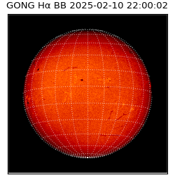 gong - 2025-02-10T22:00:02