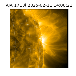 saia - 2025-02-11T14:00:21.350000