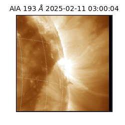 saia - 2025-02-11T03:00:04.843000