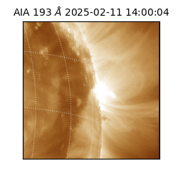 saia - 2025-02-11T14:00:04.843000