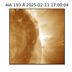 saia - 2025-02-11T17:00:04.843000