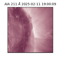 saia - 2025-02-11T19:00:09.626000