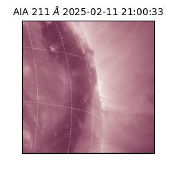 saia - 2025-02-11T21:00:33.625000