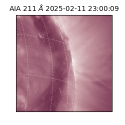 saia - 2025-02-11T23:00:09.633000