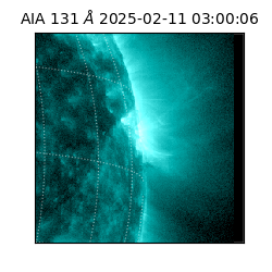 saia - 2025-02-11T03:00:06.622000