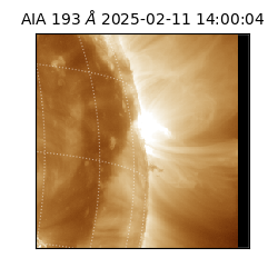 saia - 2025-02-11T14:00:04.843000