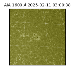 saia - 2025-02-11T03:00:38.133000