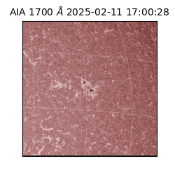 saia - 2025-02-11T17:00:28.717000