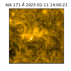saia - 2025-02-11T14:00:21.350000
