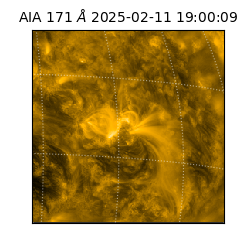 saia - 2025-02-11T19:00:09.350000