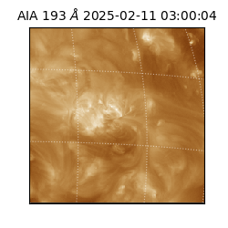 saia - 2025-02-11T03:00:04.843000