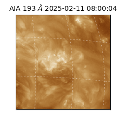 saia - 2025-02-11T08:00:04.843000