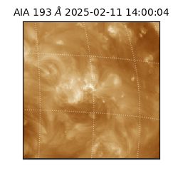 saia - 2025-02-11T14:00:04.843000