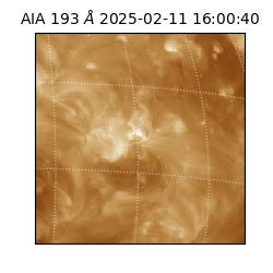 saia - 2025-02-11T16:00:40.843000