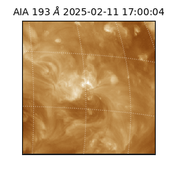 saia - 2025-02-11T17:00:04.843000