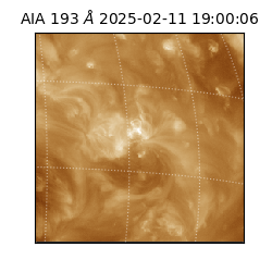 saia - 2025-02-11T19:00:06.647000