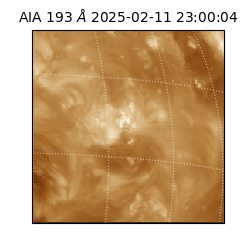 saia - 2025-02-11T23:00:04.845000