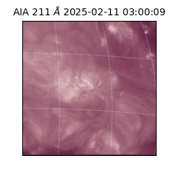 saia - 2025-02-11T03:00:09.630000