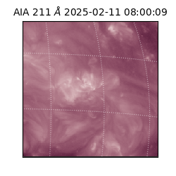 saia - 2025-02-11T08:00:09.626000