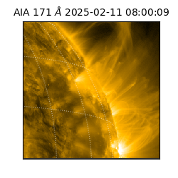 saia - 2025-02-11T08:00:09.350000
